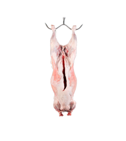 Decoration wooden present