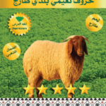 نعيمي بلدي 13-15ك