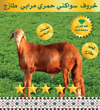 سواكني نصف ذبيحة مرابي 8-9ك