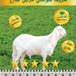 سواكني جذع مرابي 17-19ك